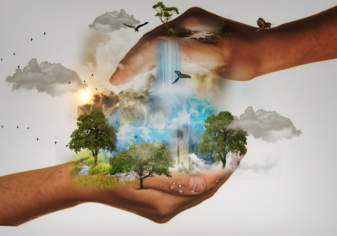 Tłuszcze w żywieniu