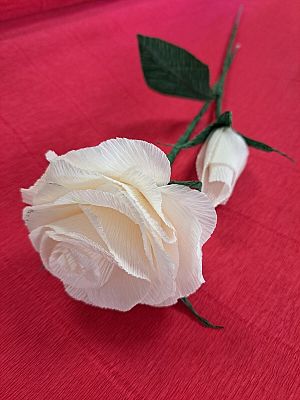 Tworzenie kwiatów z krepiny